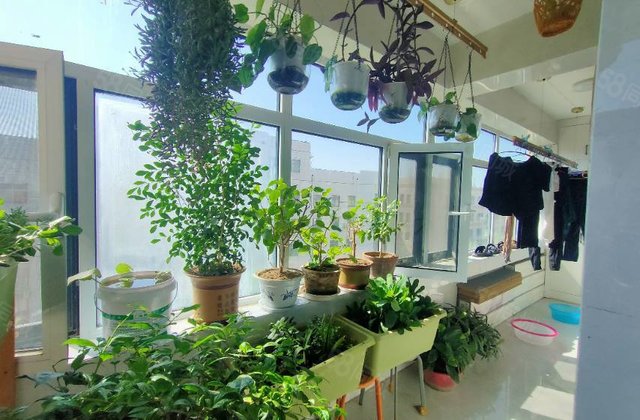 (真实保证)师范家属院3室