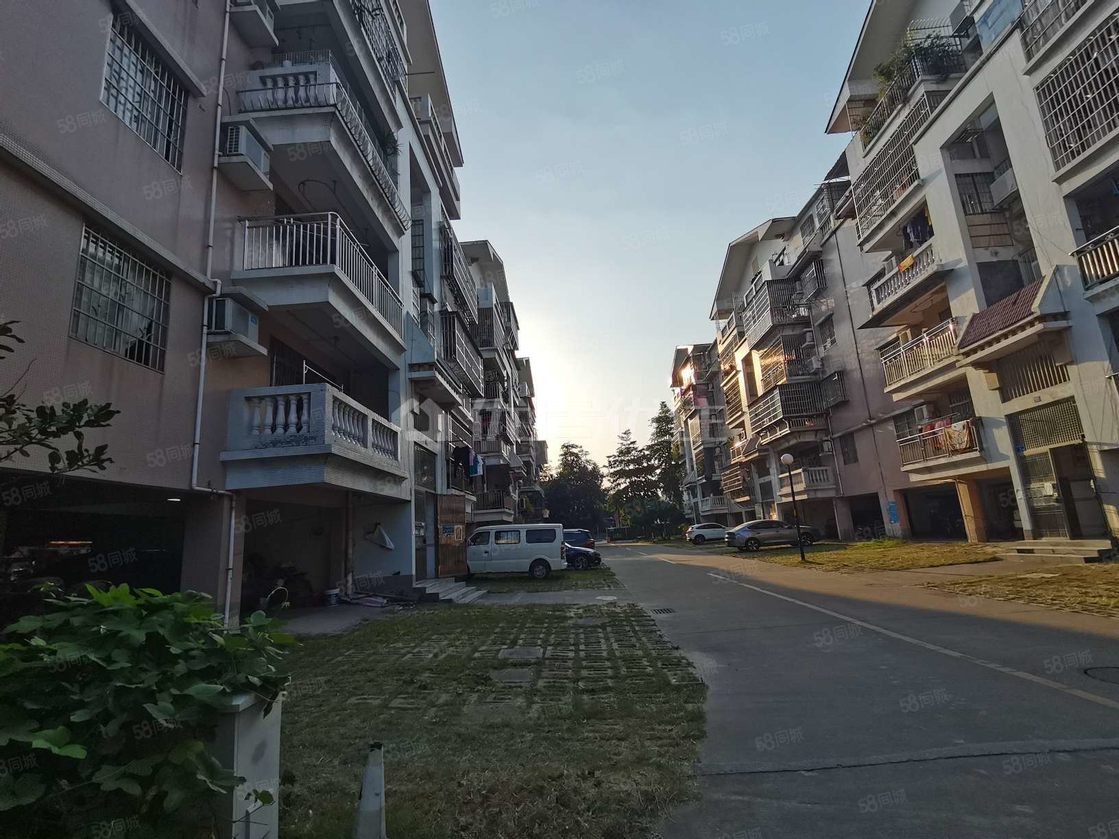 【10图】109平精装谷围新村朝向南250万元3室,谷围新邨-广州58同城