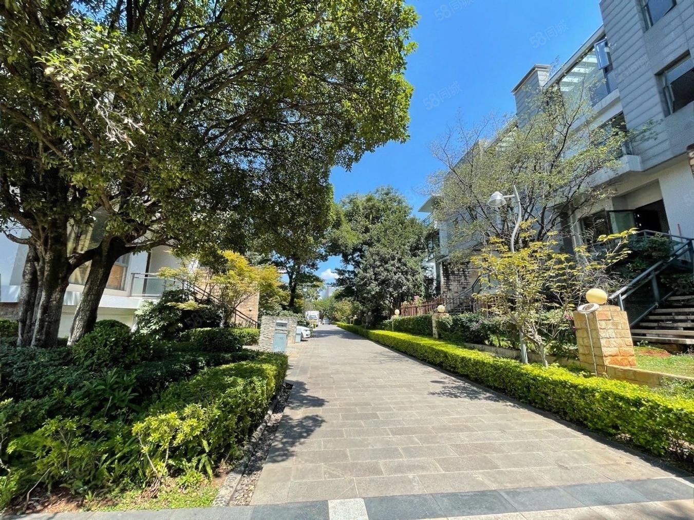 捡漏度假区同德极少墅靠主景观毛坯房错过后悔10年