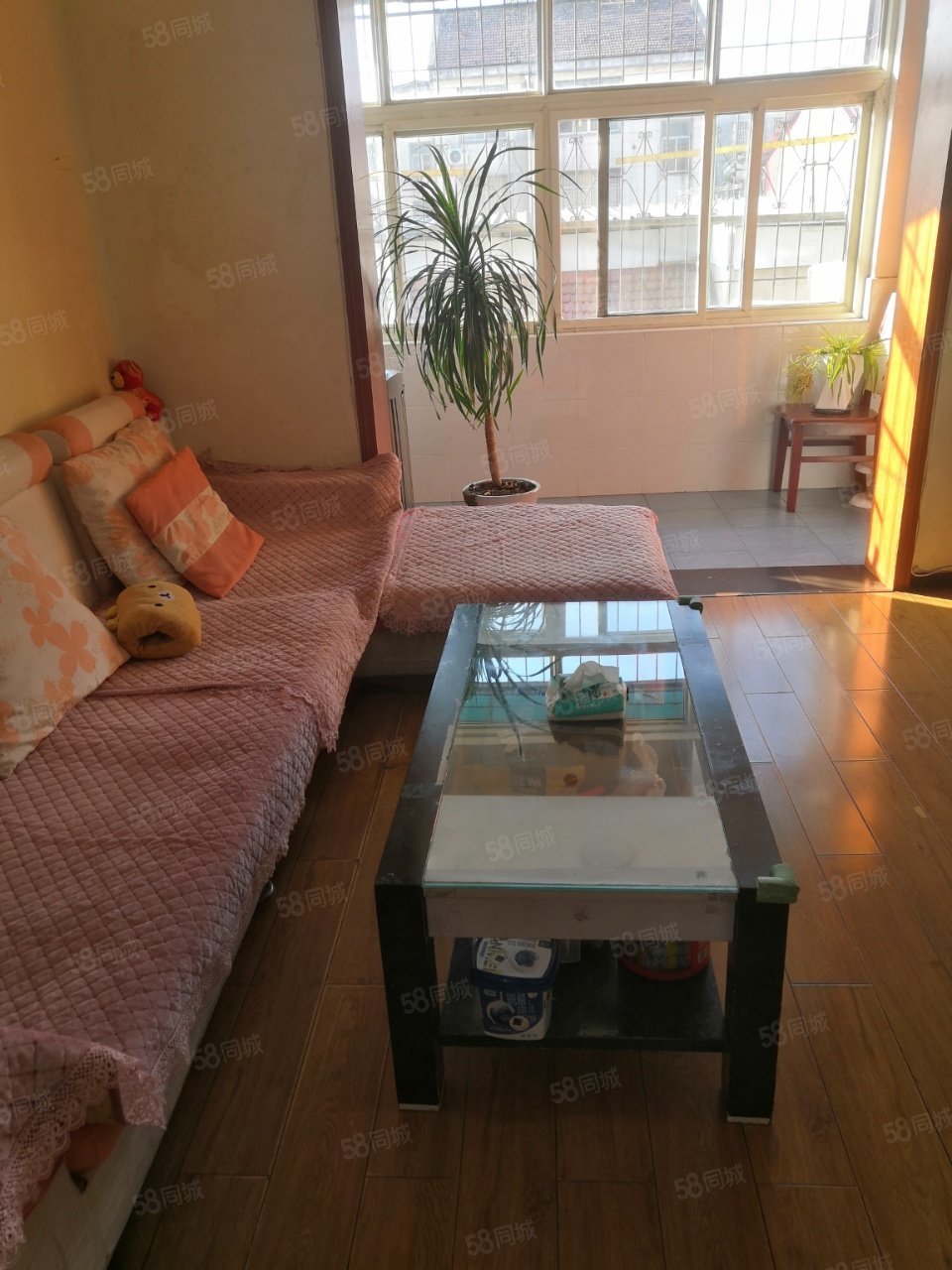 胡家墩子小区3室1厅1卫106㎡南北25万