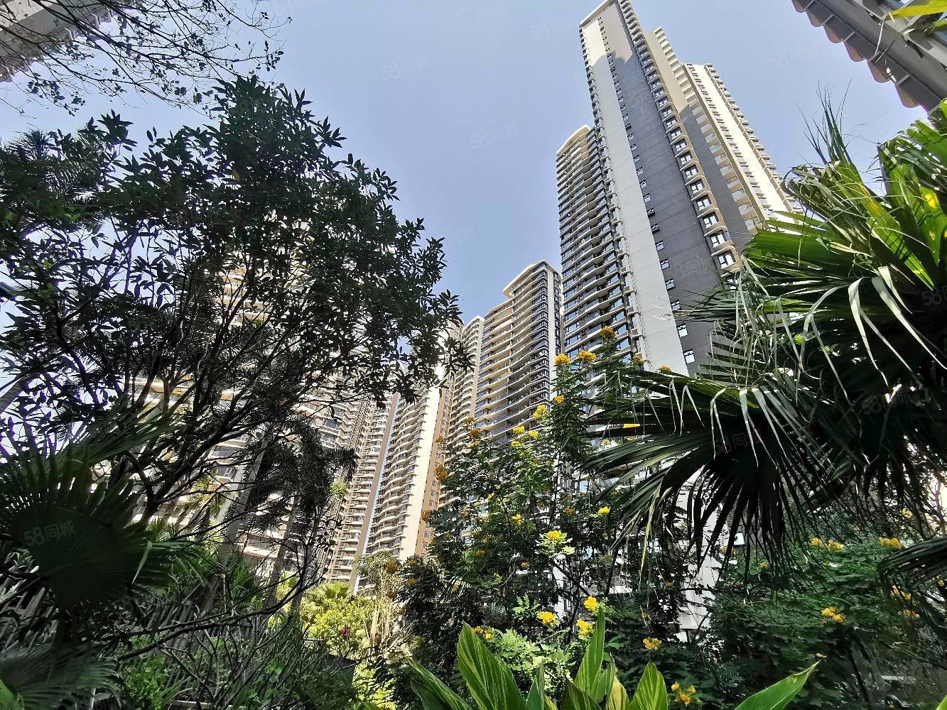 湾仔峰景湾两梯两户带9米大阳台3房看小区园林安静舒适现楼各付