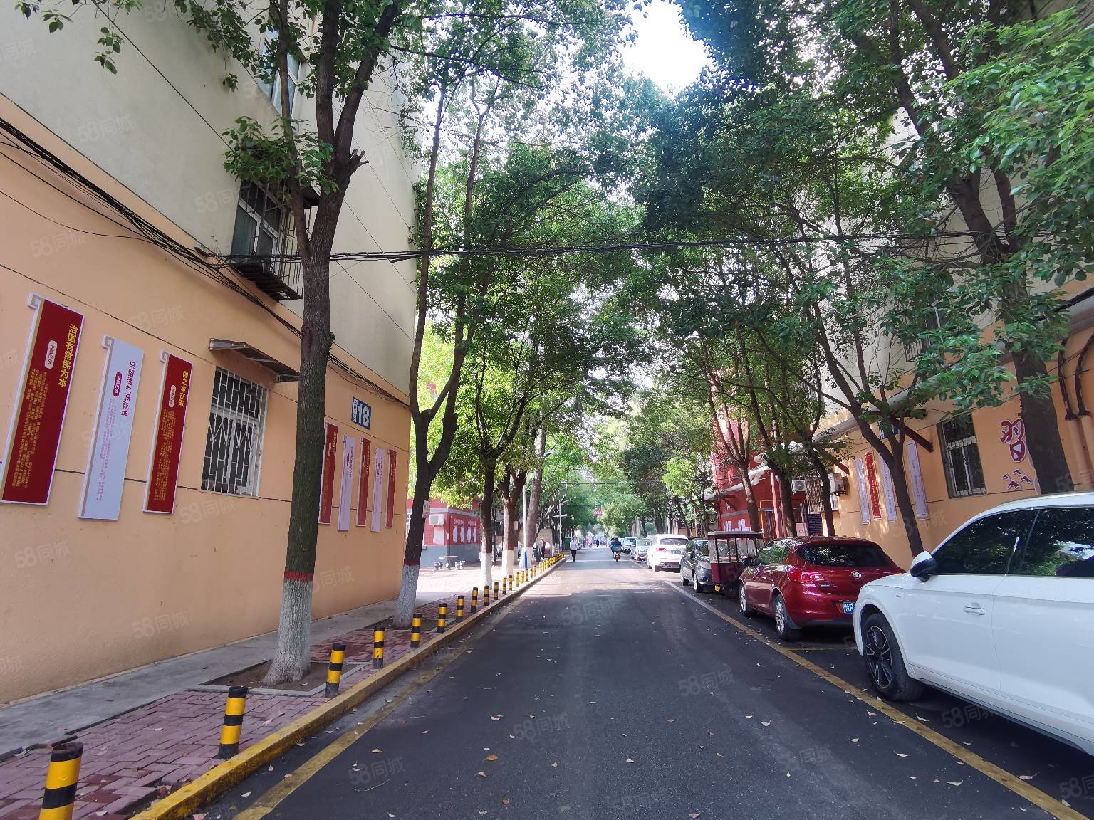 组工动态丨城关街道:情系群众办实事,修路便民暖人心