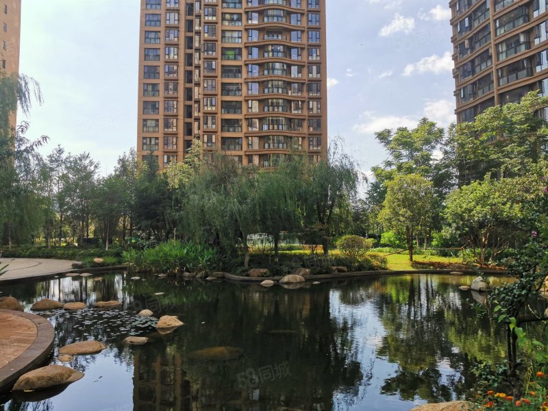 中豪悦城花园 3房2卫 精装房东自住房 保养好,中豪悦城花园-昆明58