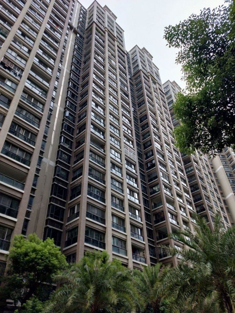 您没看错星湖城白坯高楼层单价10600底价抛售