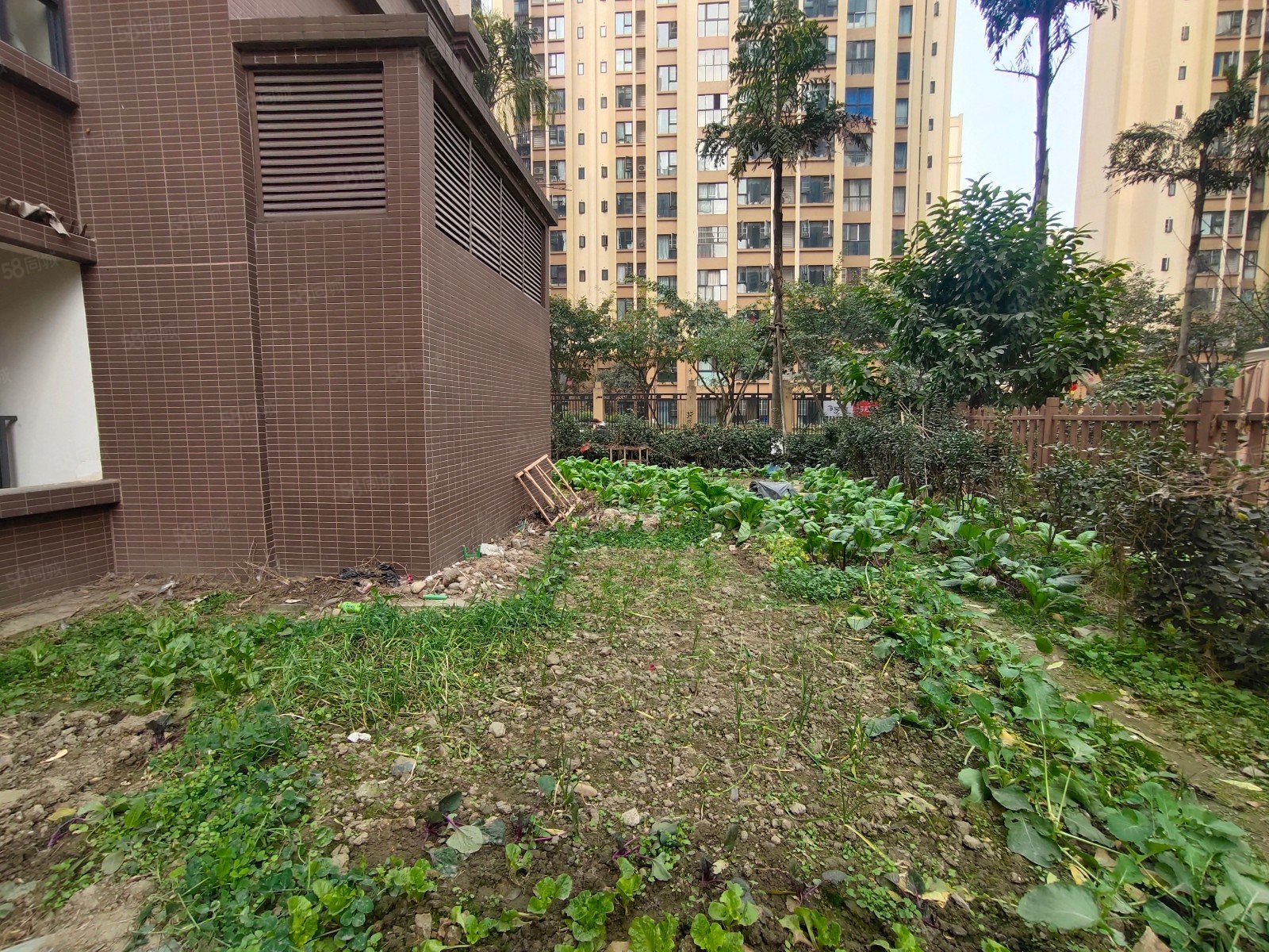 天府五街旁 邦泰華府公館 帶125平超大花園!