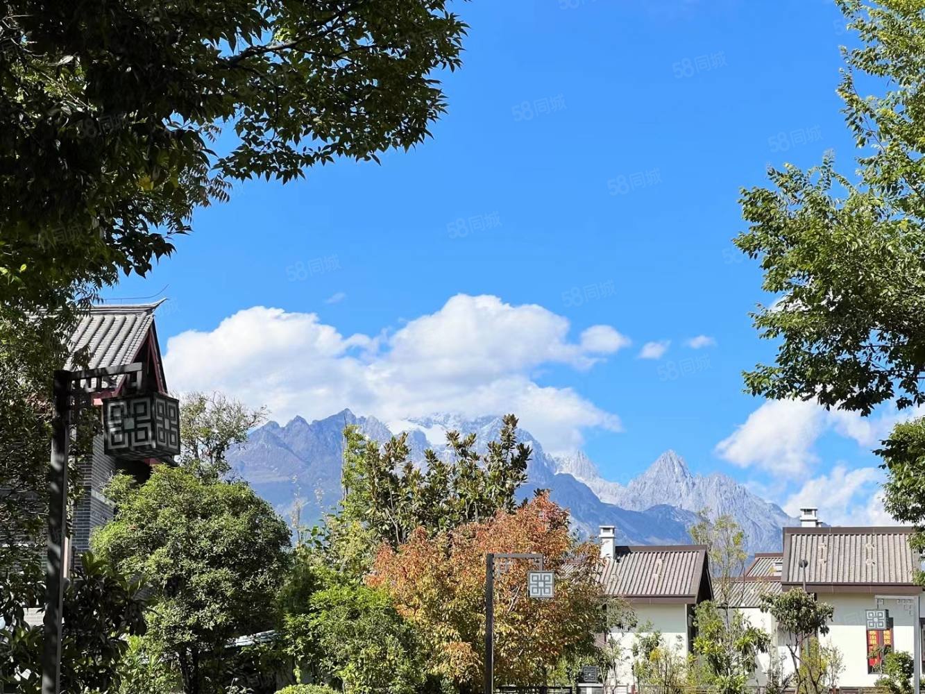 金茂雪山语雪景房捡漏急售使用面积350平