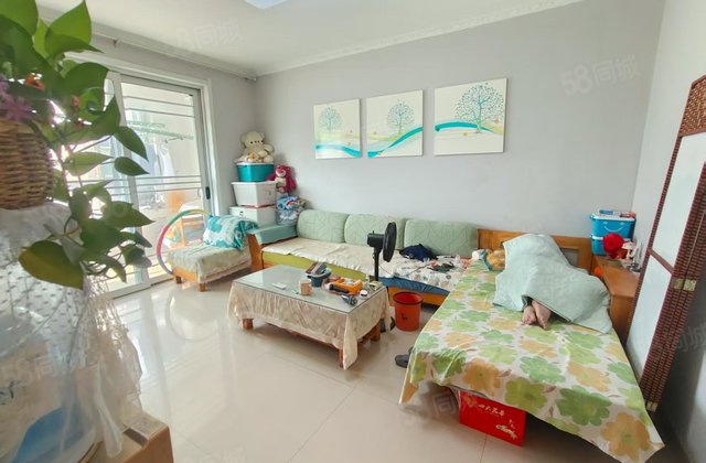 二中金柱大学城  金柱文苑 电梯房 免大税 送地下室