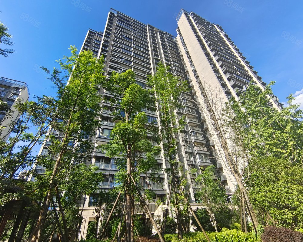 【楚天郡府, 楚天郡府小区详情,房价走势,房源,业主论坛】- 长沙58