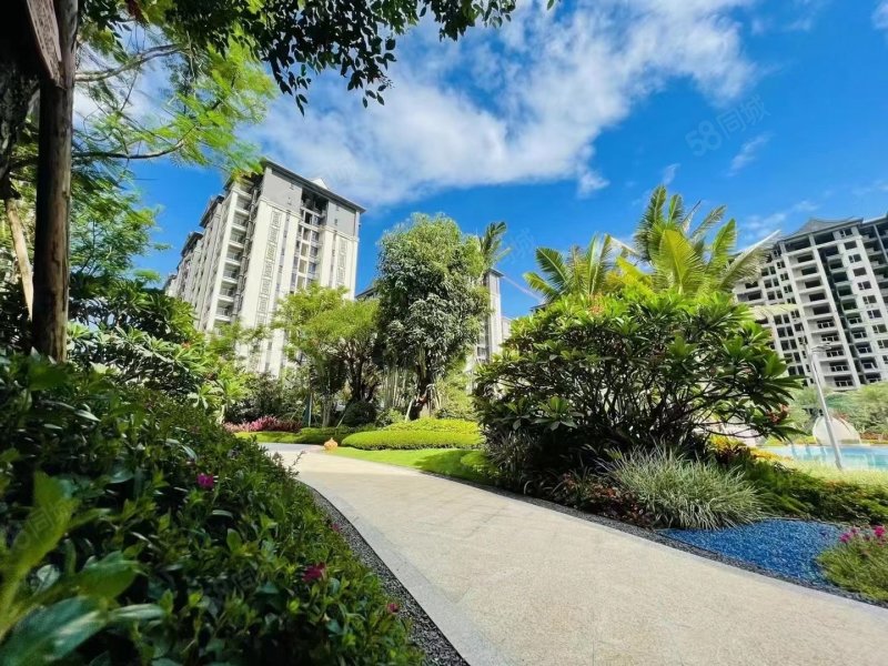 雨林时光2室2厅1卫75㎡南北50万