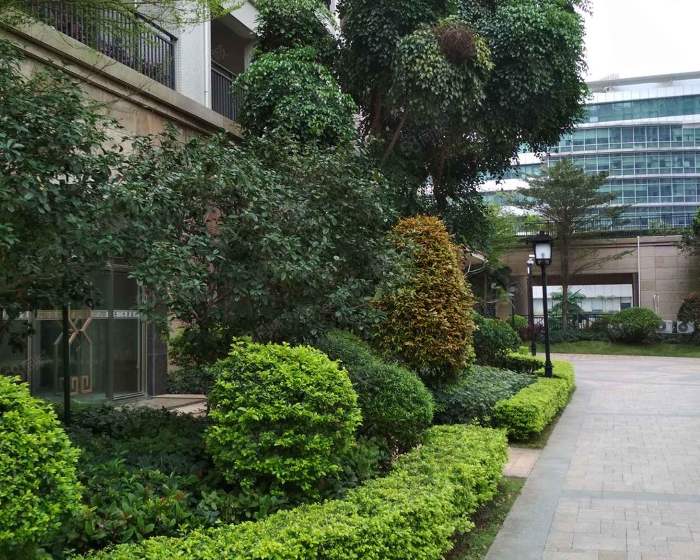 【御景名城, 御景名城小区详情,房价走势,房源,业主论坛】- 湛江58