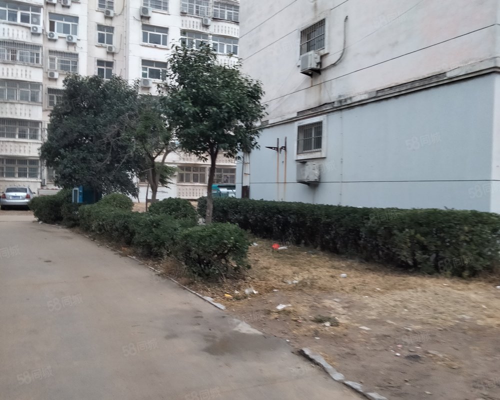 【世博园(茌平), 世博园(茌平)小区详情,房价走势,房源,业主论坛】