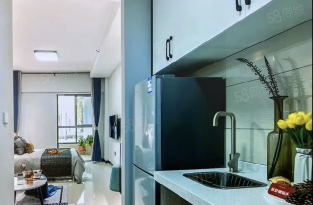 蒸水湾悦公馆1室1厅39.71㎡30万二手房图片