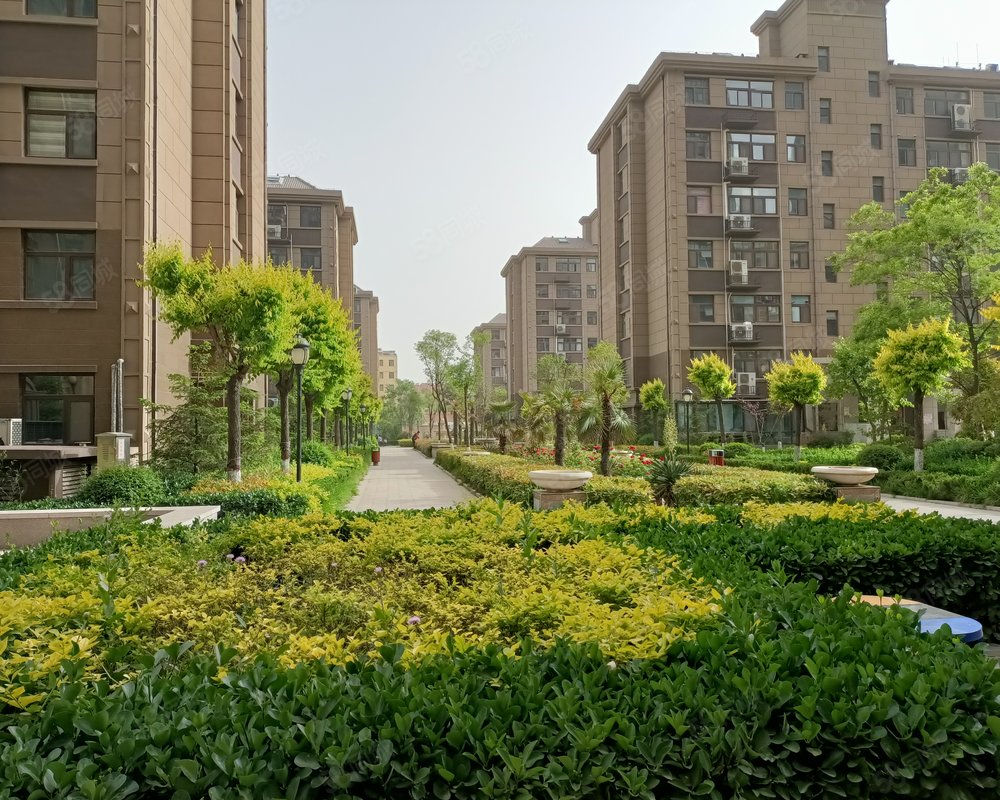 【龙城国际, 龙城国际小区详情,房价走势,房源,业主论坛】- 济宁58