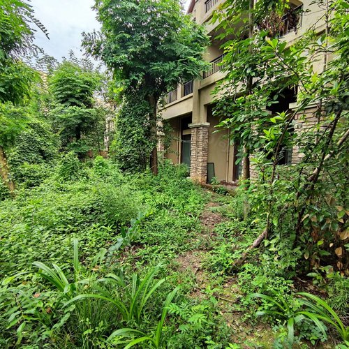 渝北汽博!绿地翠谷150平大花园端户别墅!业主诚  3室2厅4卫312.