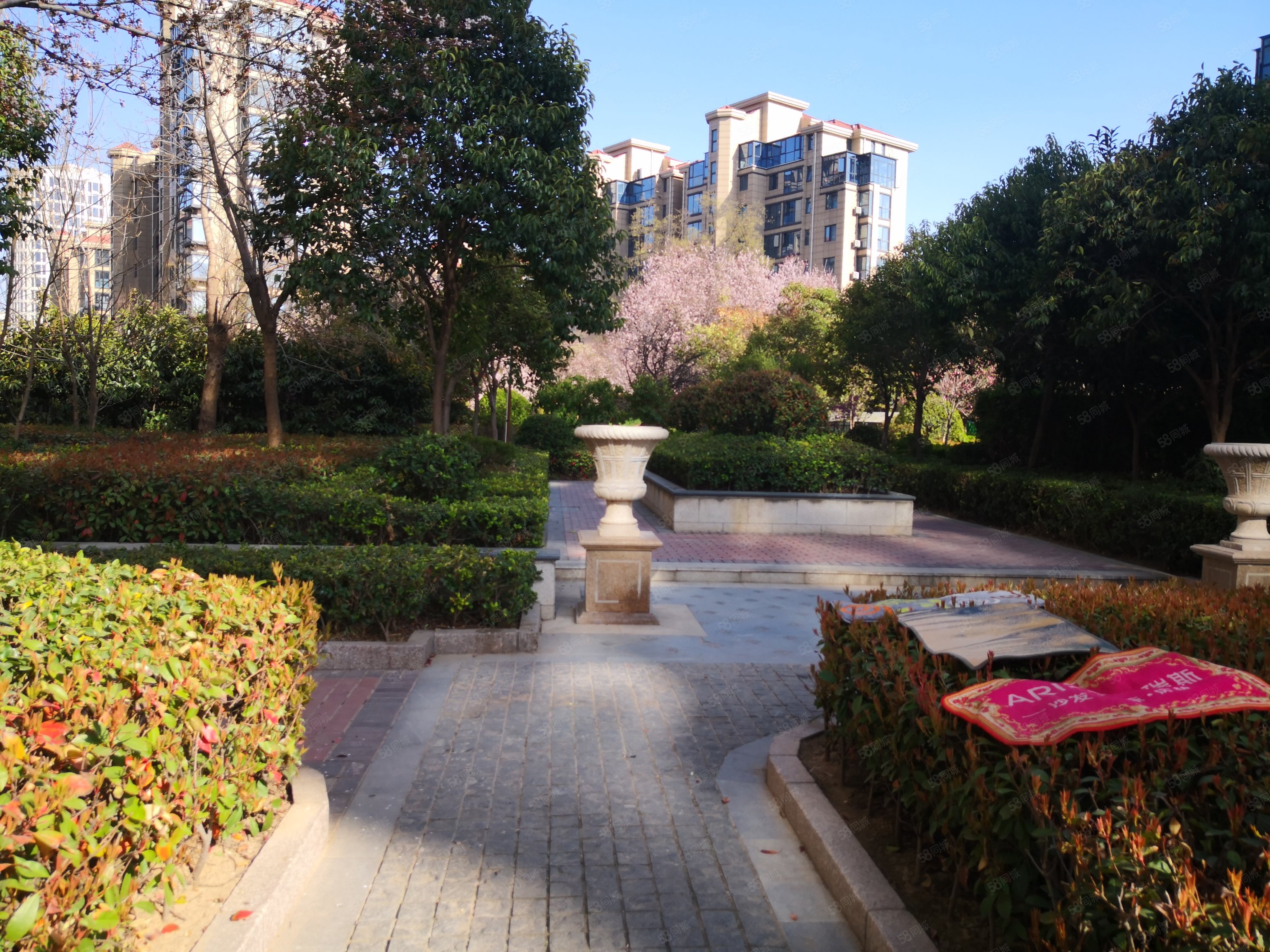 青岛花园 精装大三室 小高层直观日月湖,青岛花园-商丘58同城