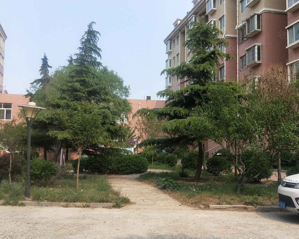 新世界花园蓬莱