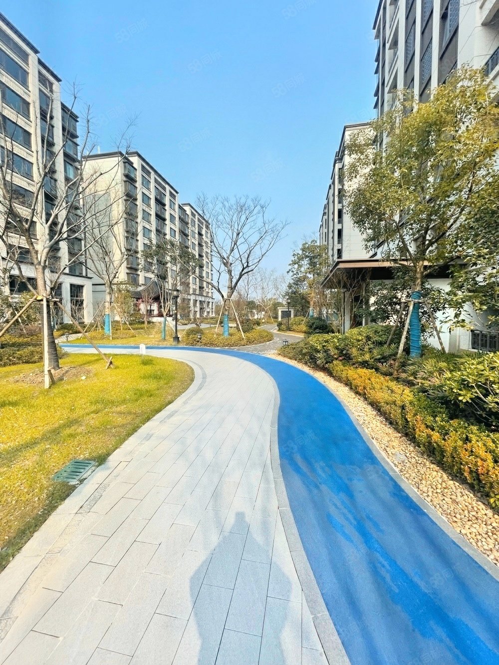 太仓新区锦绣朝阳花园万达广场旁近市民公园小区绿化高