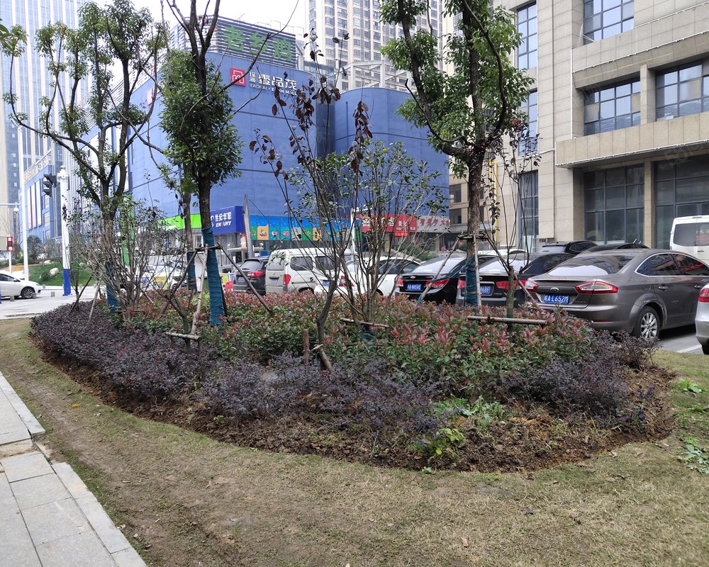 【光明金座, 光明金座小区详情,房价走势,房源,业主论坛】- 合肥58