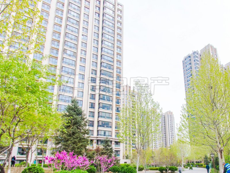 太陽公元(北區(qū))3室1廳1衛(wèi)92㎡南北1200萬