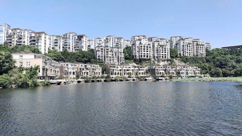 临湖大独栋棕榈泉目前只此一套随时看房专做重庆别墅大平层