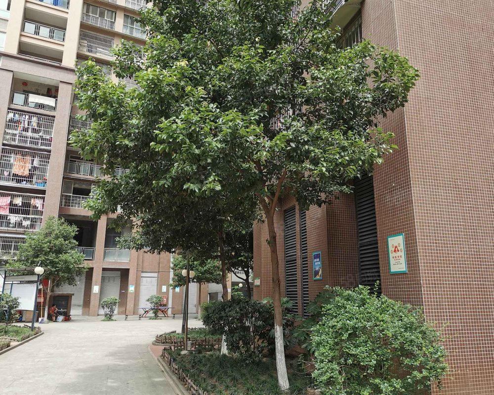 【金域华庭, 金域华庭小区详情,房价走势,房源,业主论坛】- 简阳58