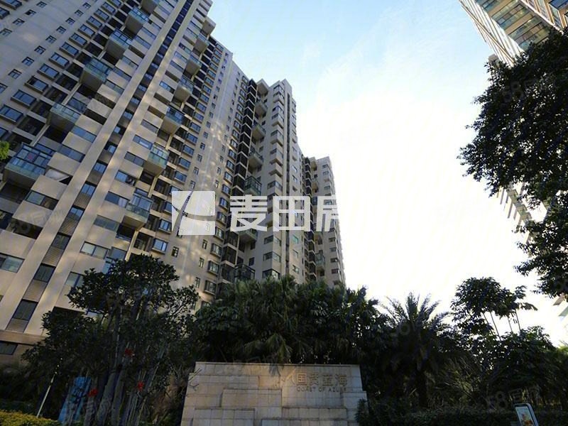 楼层好 南北通透 双卫生间 交通便利,国贸蓝海(公寓住宅)-厦门58同城