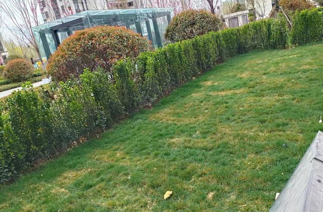 民生十六号院4室2厅2卫送地下室送花园送车位价格可议房东直卖