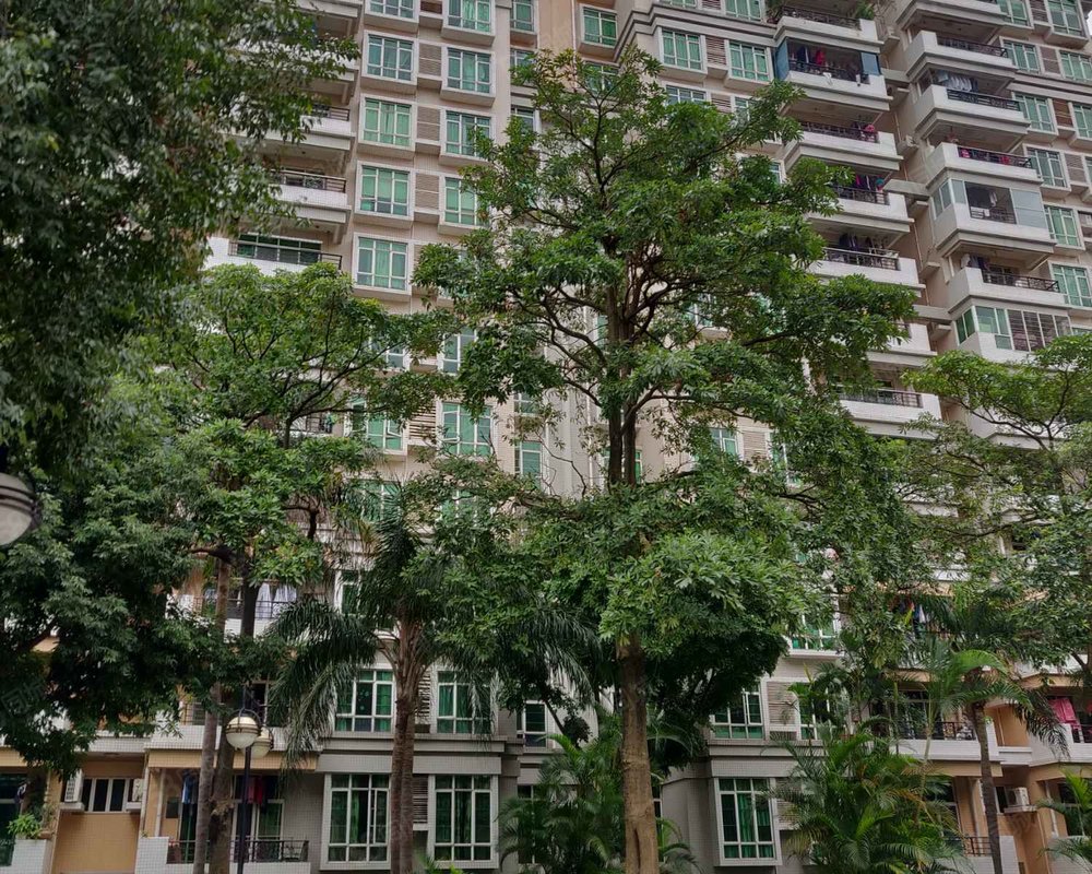 【雍景园, 雍景园小区详情,房价走势,房源,业主论坛】- 广州58同城