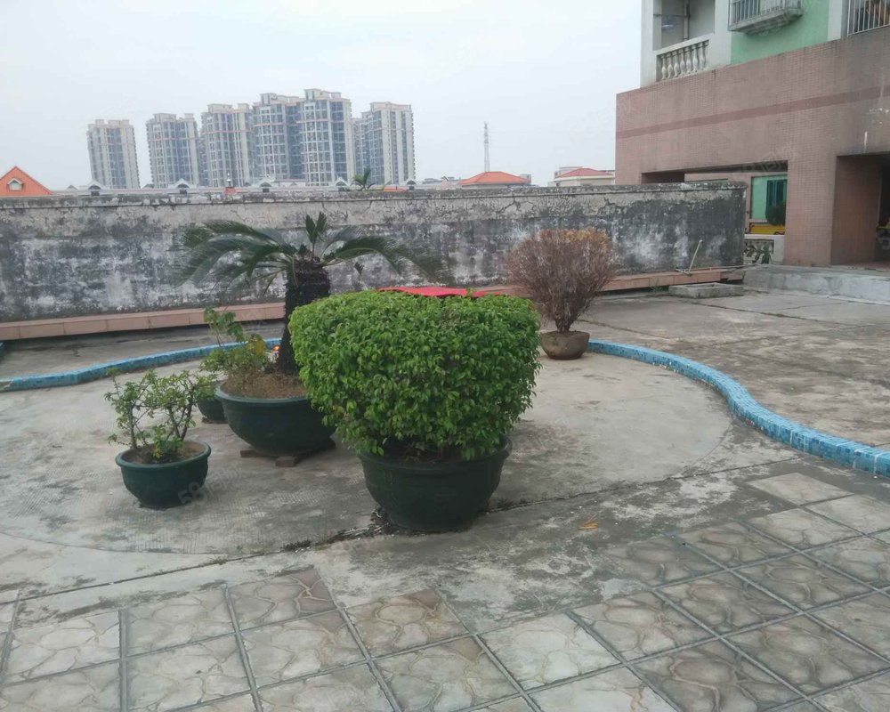 【置富花园, 置富花园小区详情,房价走势,房源,业主论坛】- 顺德58