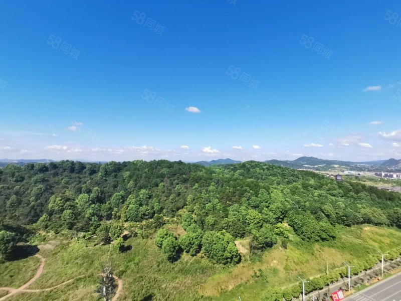 北湖湾8室2厅5卫215㎡南北200万