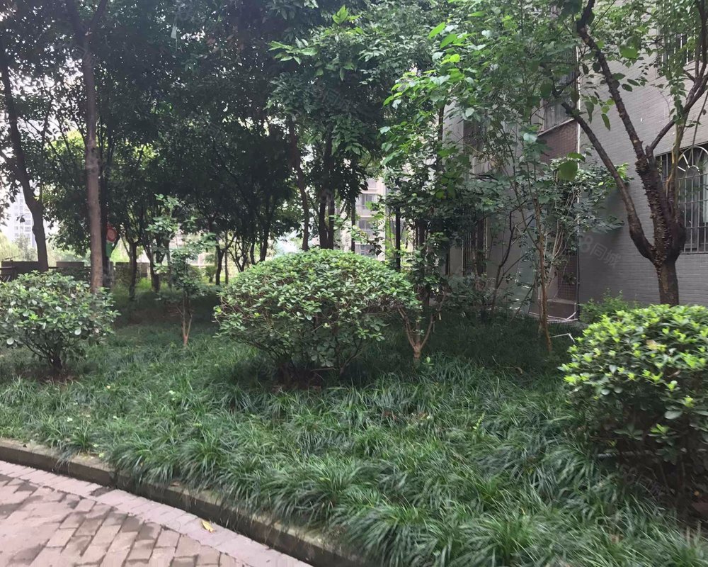 【东海岸, 东海岸小区详情,房价走势,房源,业主论坛】- 重庆58同城