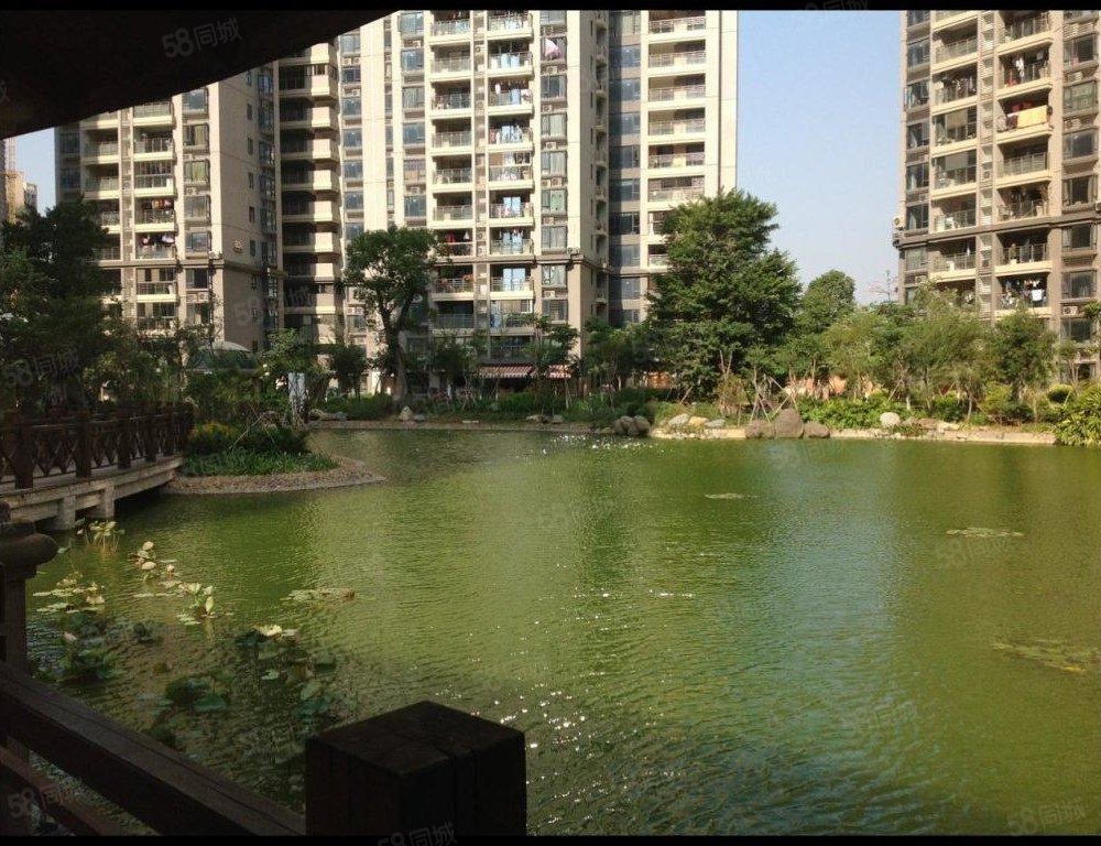 【西雅图, 西雅图小区详情,房价走势,房源,业主论坛】- 厦门58同城