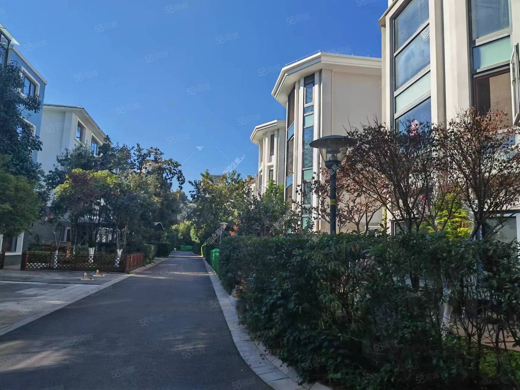 金江小区熙苑(别墅)6室3厅3卫282.25㎡南北1450万