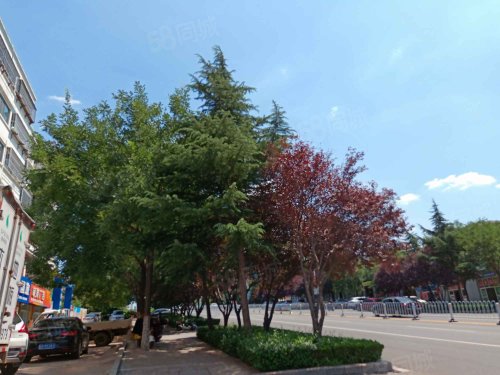 【凤城花园房价走势,凤城花园房屋出租,凤城花园二手房出售】- 莱芜58