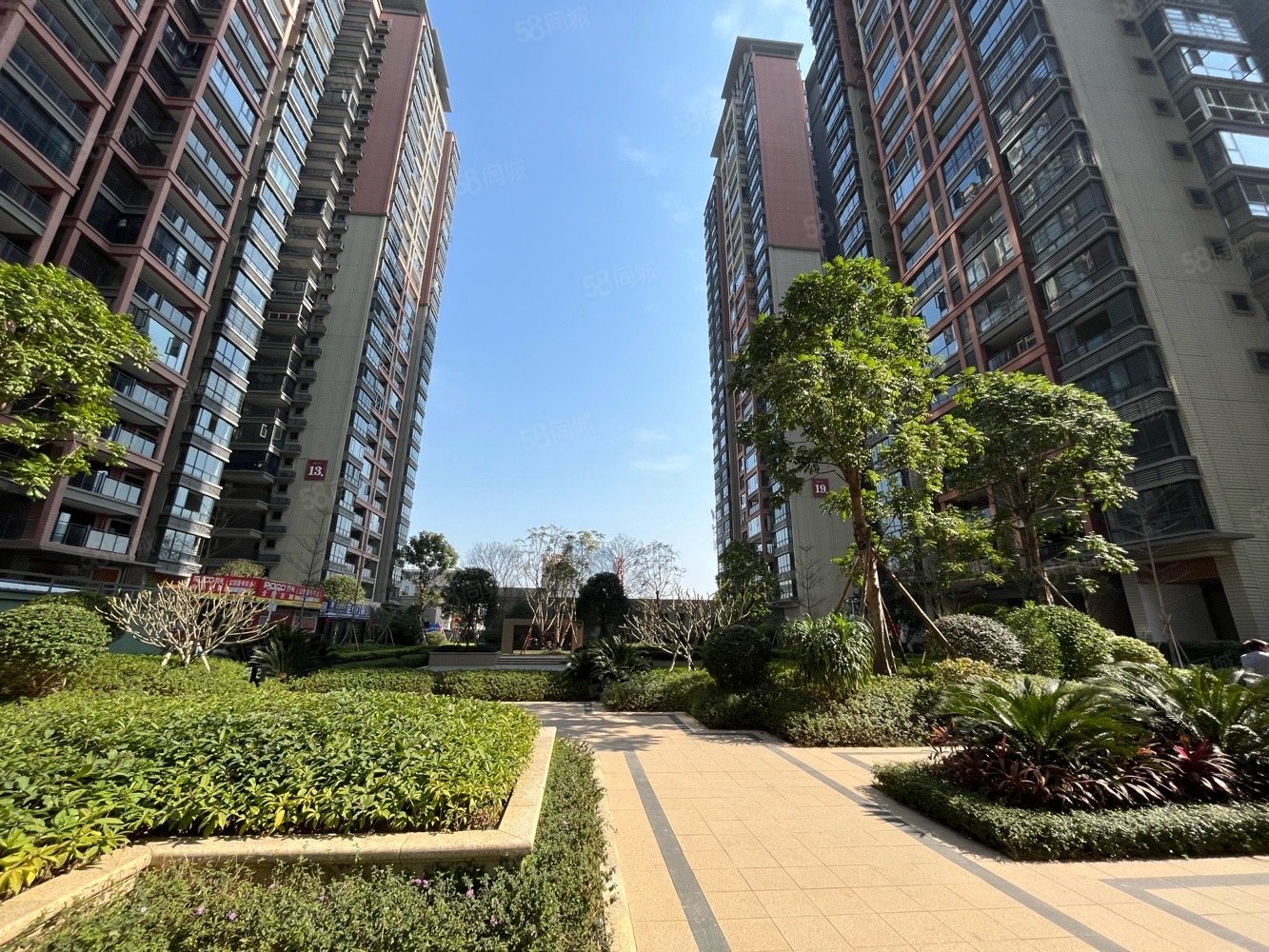 城建公园壹号4室2厅2卫110㎡南55万