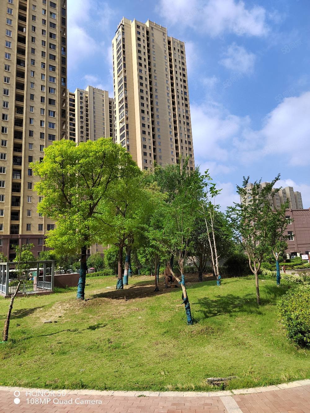 【10图】金悦东湖中层 满二年 东盛路 十一中对面,金悦东湖南区-阜阳