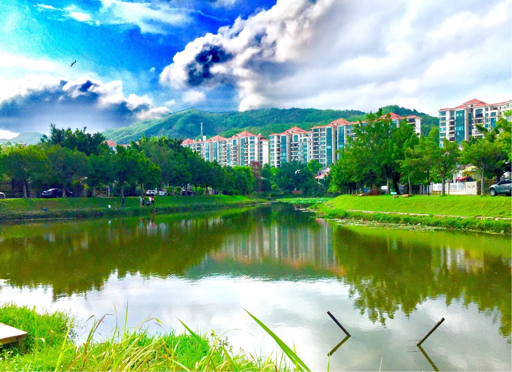 金碧御水山庄(别墅)8室3厅6卫465㎡东南680万