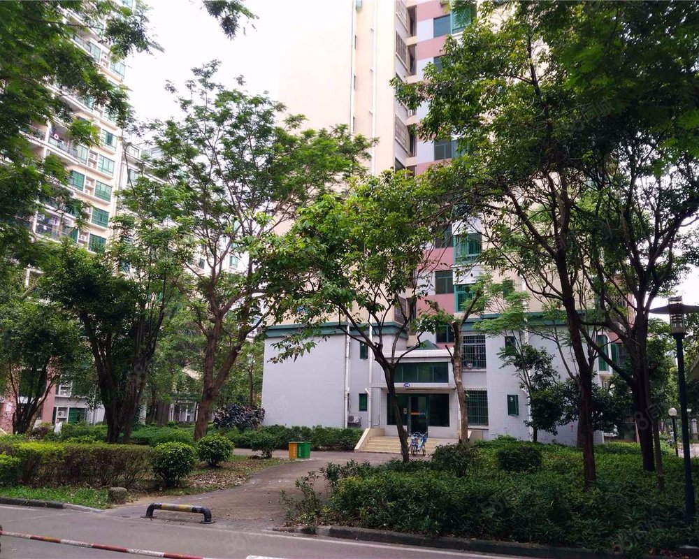 【银石雅园, 银石雅园小区详情,房价走势,房源,业主论坛】- 珠海58