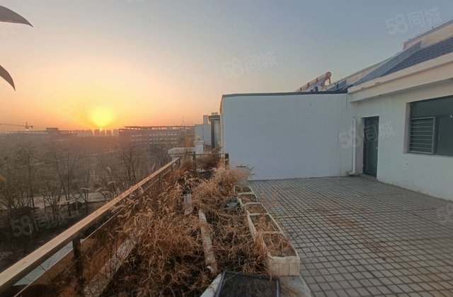 45顶层复式带大露台，翡丽湾海德公园送车位储藏室