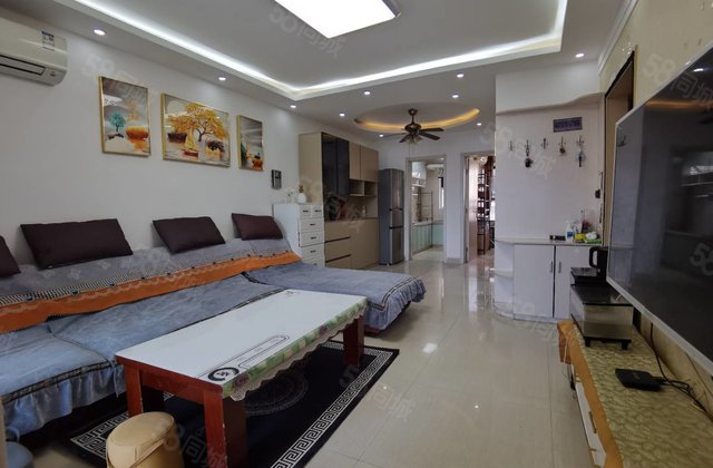 阿尔卡迪亚精装修婚房！送储