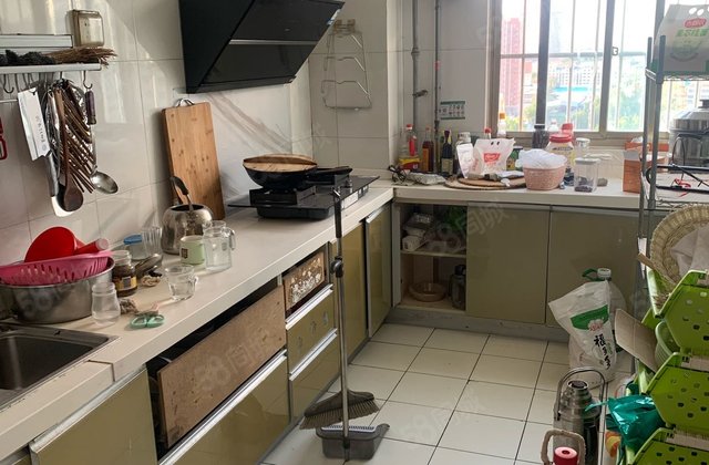 诚意出 孟达新水明珠   次顶层，双卫格局。暖气热