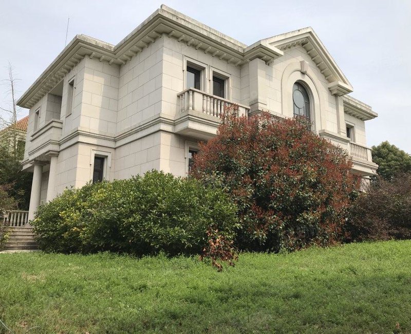 仁恒森兰独栋别墅,花园造飞机室内带电梯,小区 在售,有钥匙