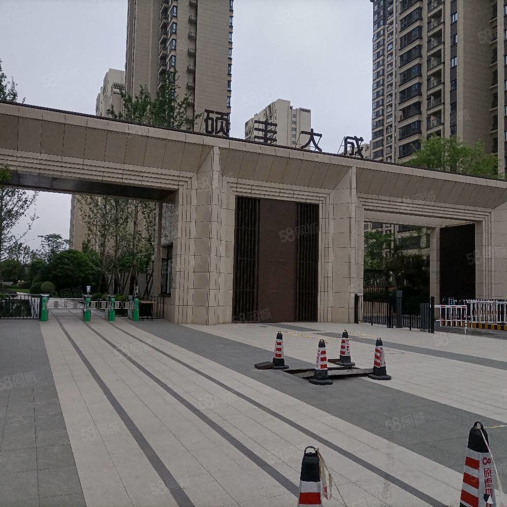 硕丰大成4室2厅2卫139.93㎡南北126万