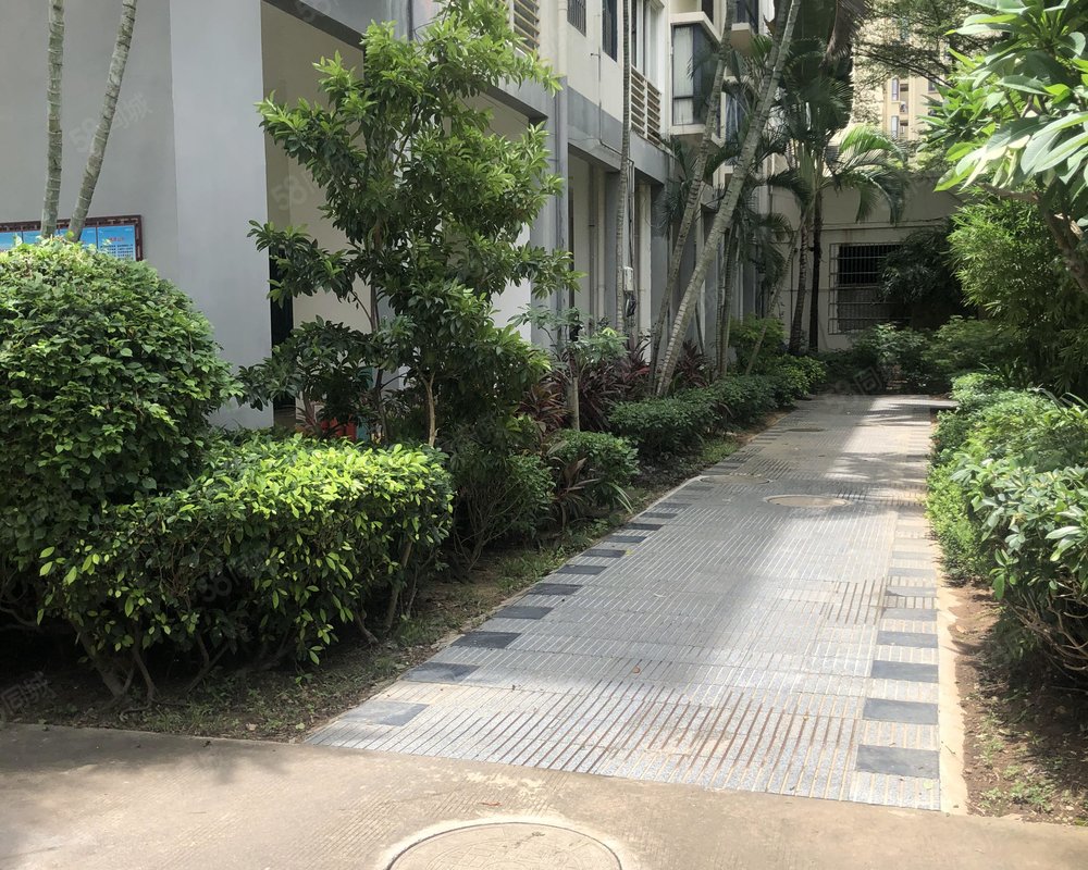 红树湾小区
