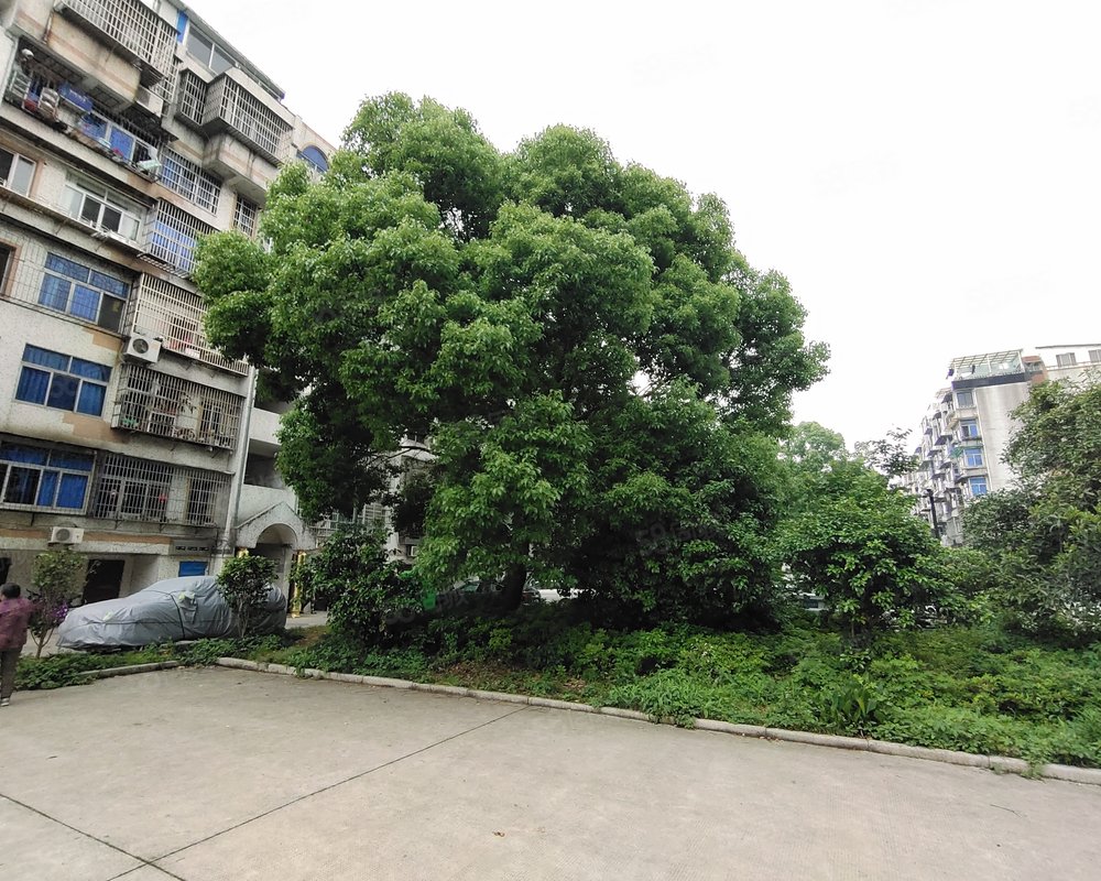 【世纪花园, 世纪花园小区详情,房价走势,房源,业主论坛】- 杭州58