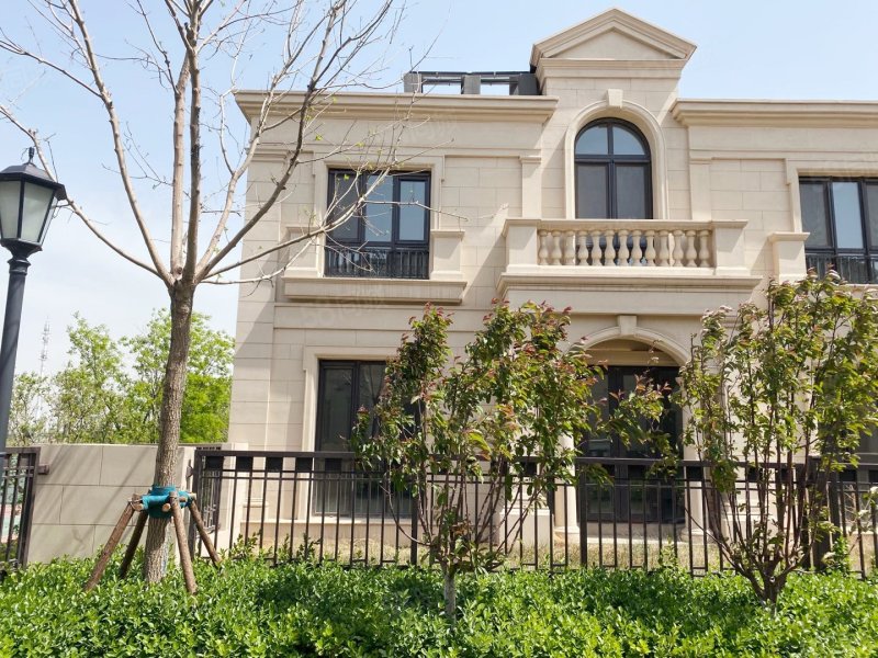 临湖别墅 地上两层 带地下室地下车位 边户大院,融创伍杄岛-天津58