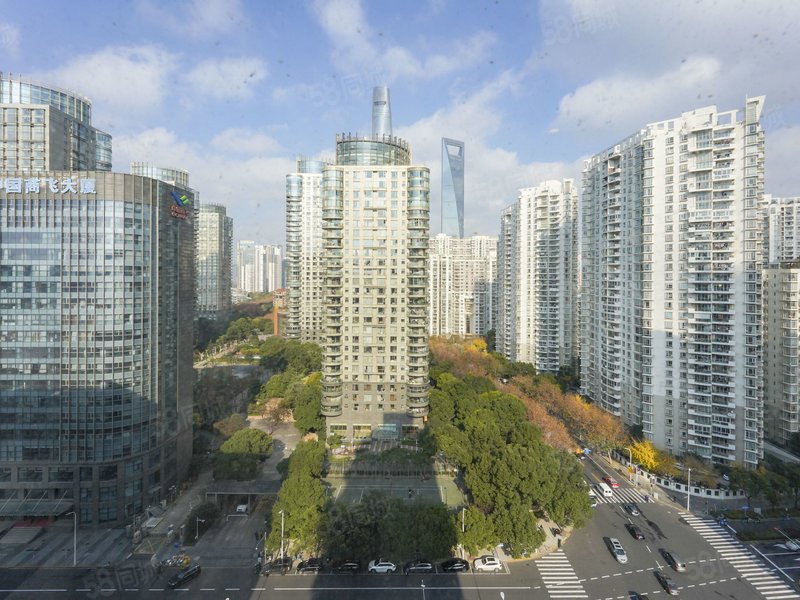 不限购精装公馆急售中有钥匙随时看可看江景,张杨路98号-上海58同城