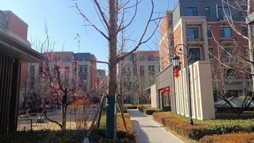 潞鼎9号院房屋出租,潞鼎9号院二手房出售】- 长治58同城