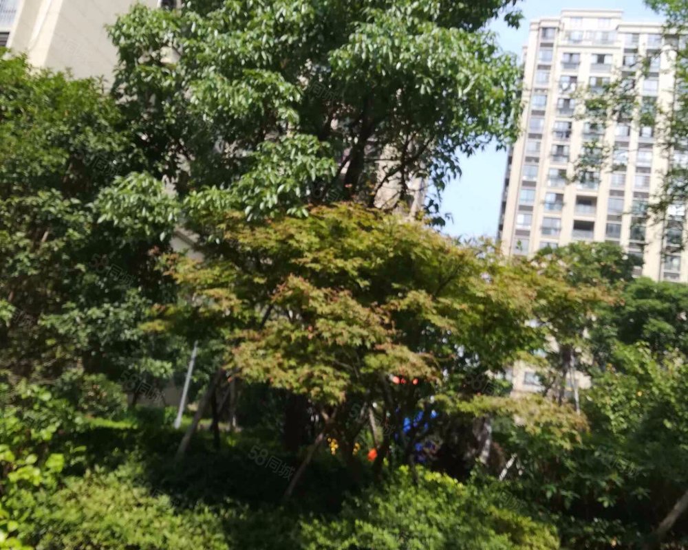 【锦海名园, 锦海名园小区详情,房价走势,房源,业主论坛】- 宁波58