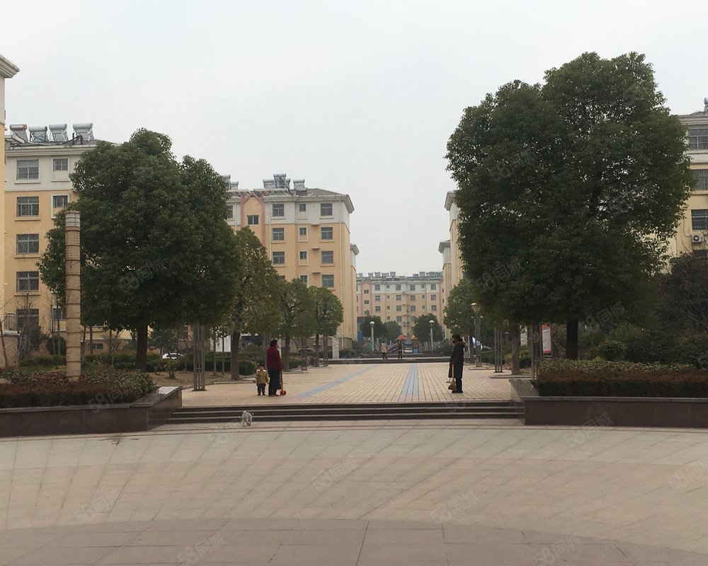 【国泰花园, 国泰花园小区详情,房价走势,房源,业主论坛】- 枣庄58